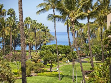 Upscale Unit Across from the Beach One of Maui' Best Rentals